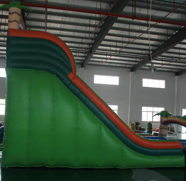 Inflatable Water Slide