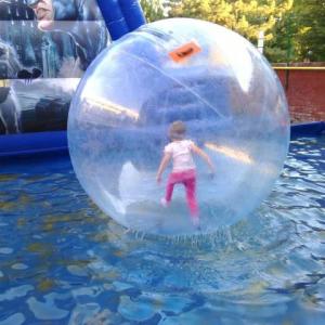 Human Hamster Ball