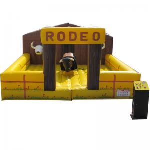 Rodeo Bull